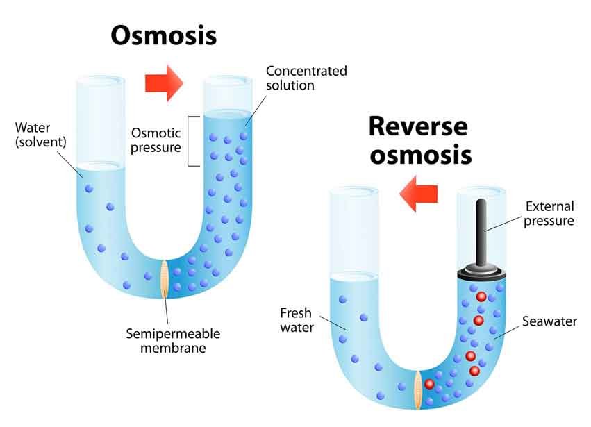 what-is-the-fundamentals-of-reverse-osmosis